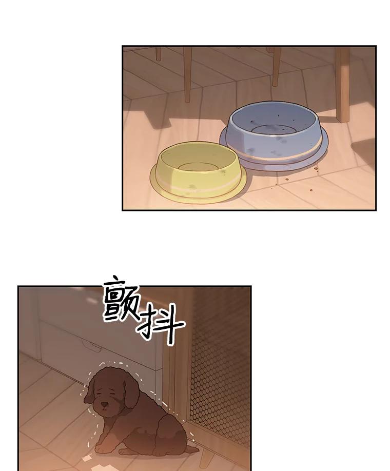 《彩虹桥守望者》20.大白吧真相 第36页