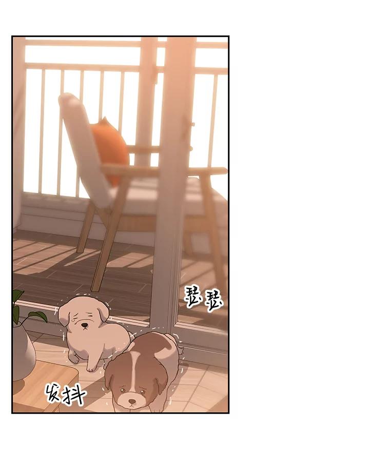 《彩虹桥守望者》20.大白吧真相 第35页