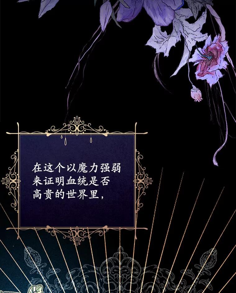 《从今天起，公爵府由我接管》2.得知身世 第2页