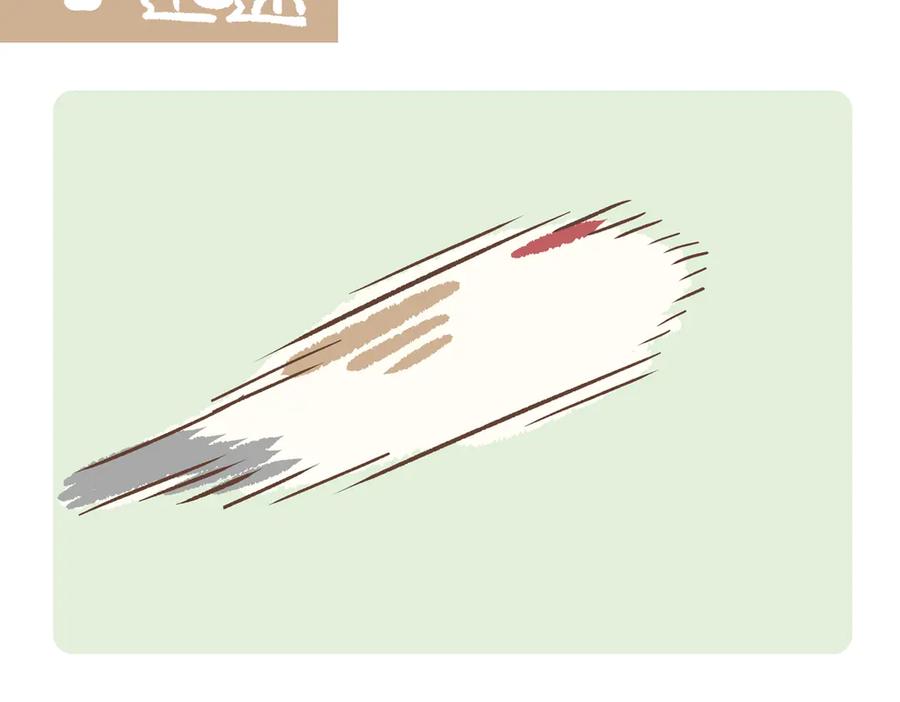 《胖达x胖达》第281话 第8页