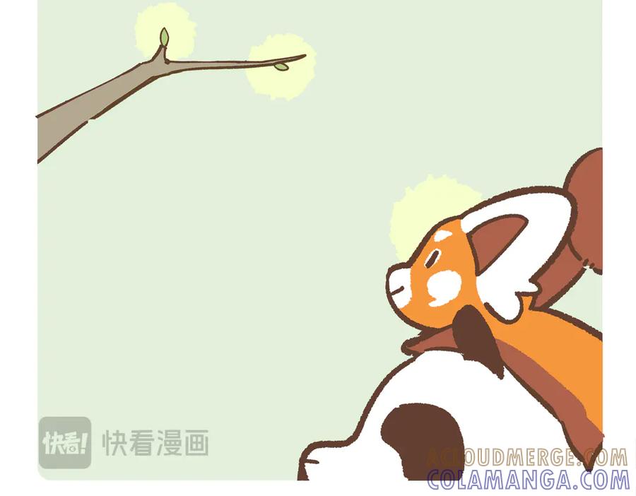 《胖达x胖达》第281话 第5页