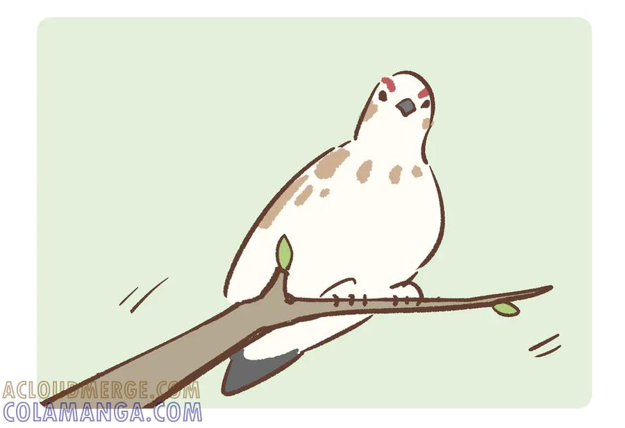 《胖达x胖达》第281话 第9页