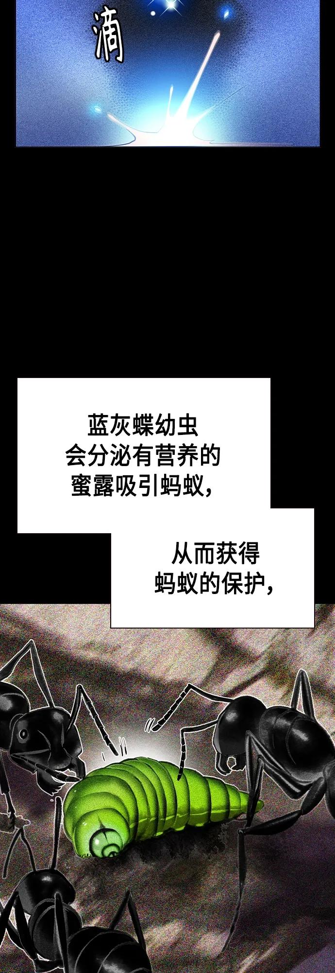 《丛林果汁》第2季 第20话 第26页