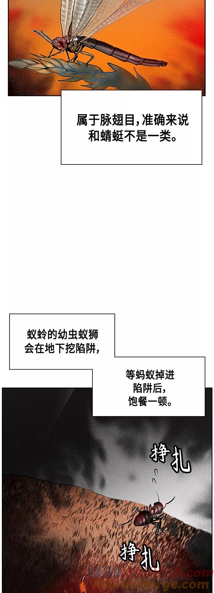 《丛林果汁》第41话 第49页
