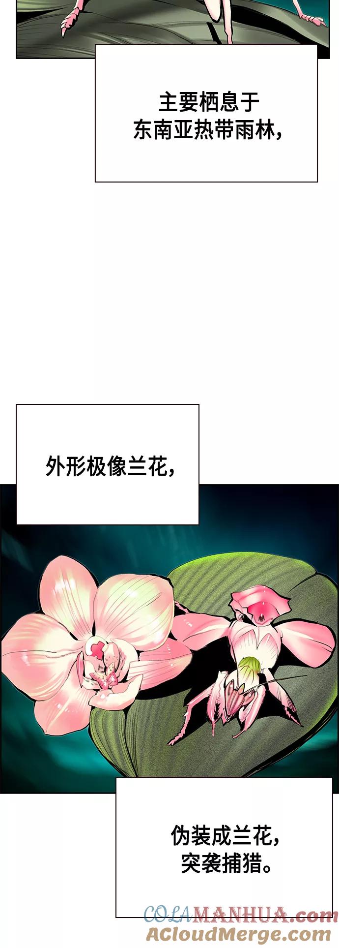 《丛林果汁》第57话 第4页