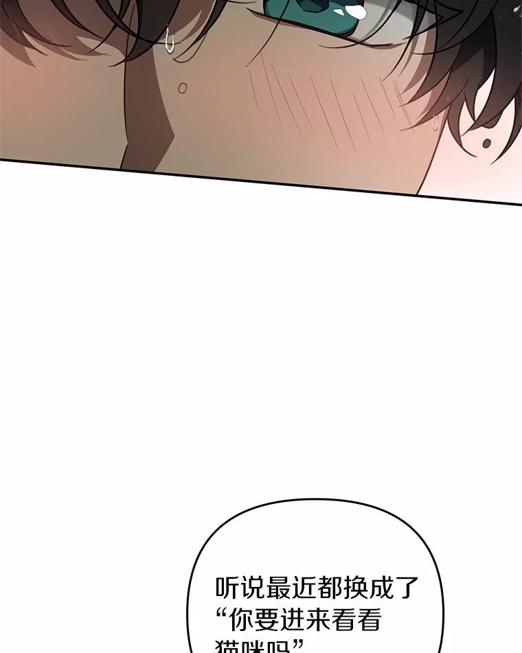 《追查到底》77.要来看猫咪吗？ 第120页