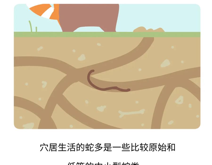 《胖达x胖达》第249话 第22页