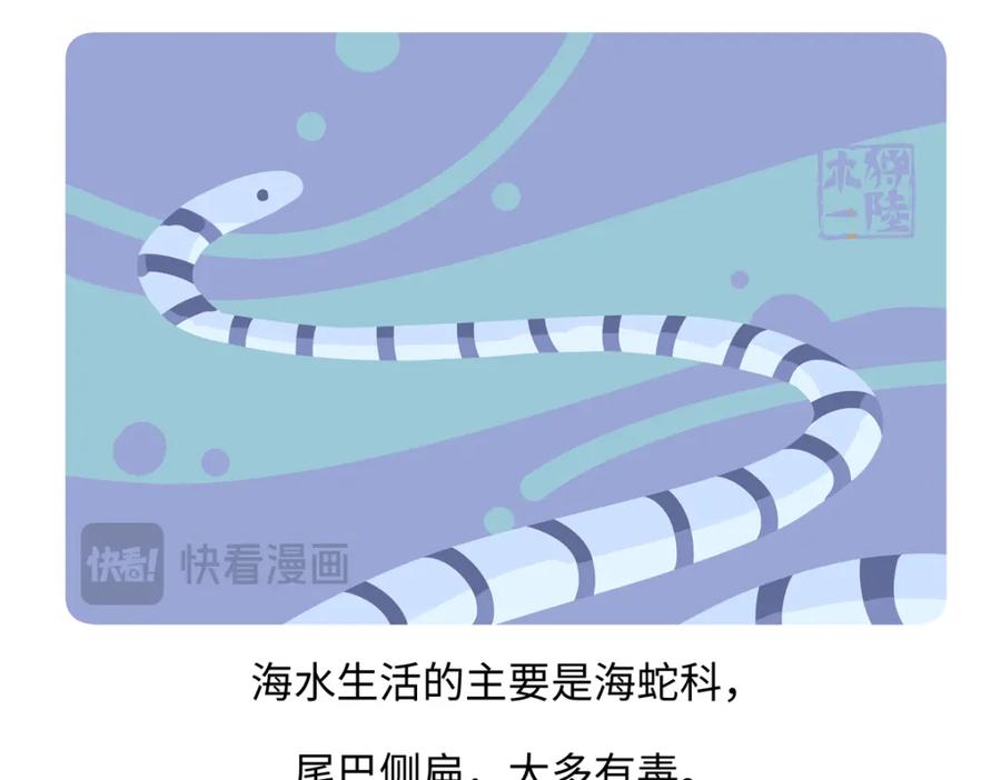 《胖达x胖达》第249话 第30页