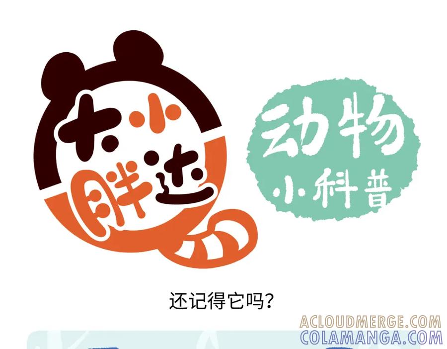 《胖达x胖达》第249话 第25页