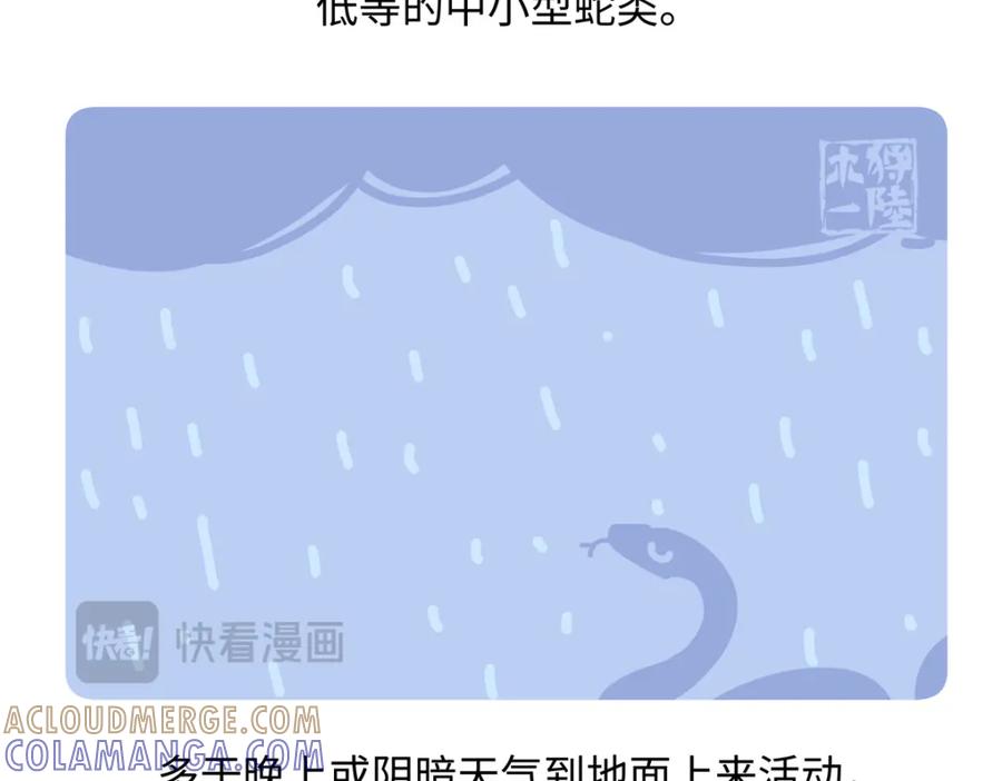 《胖达x胖达》第249话 第23页