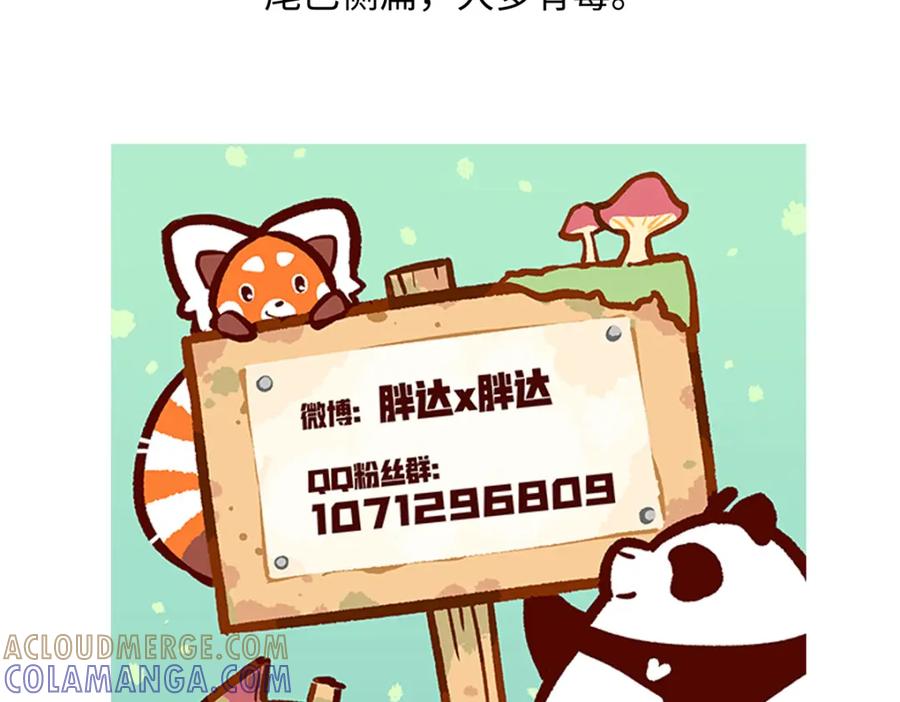 《胖达x胖达》第249话 第31页