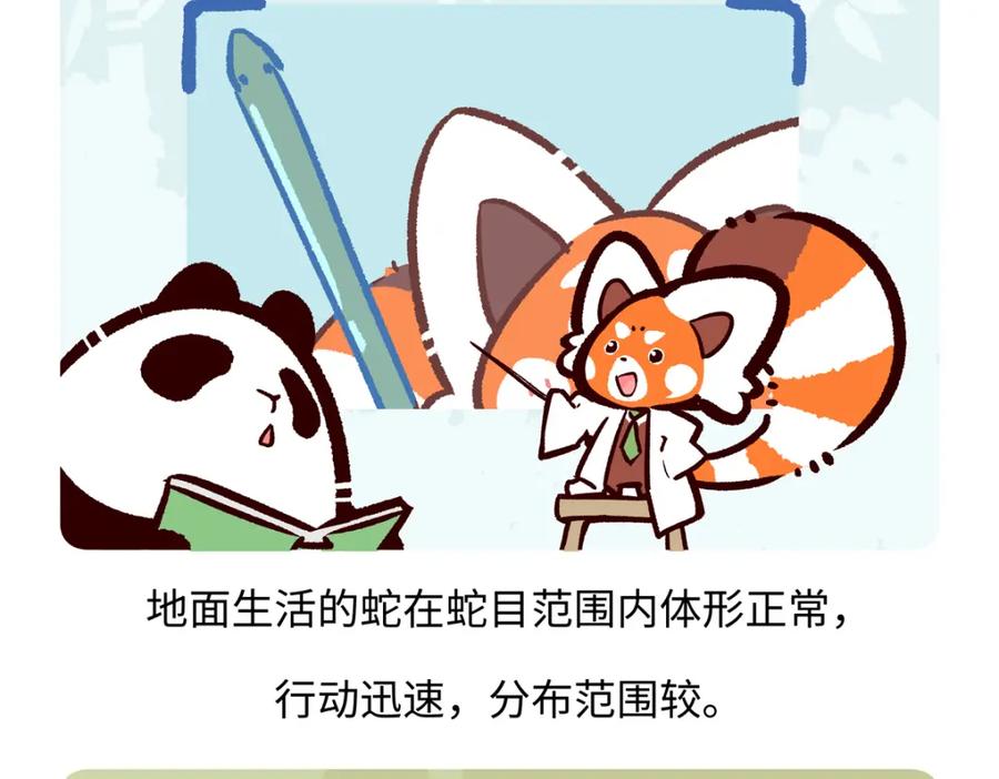 《胖达x胖达》第249话 第26页