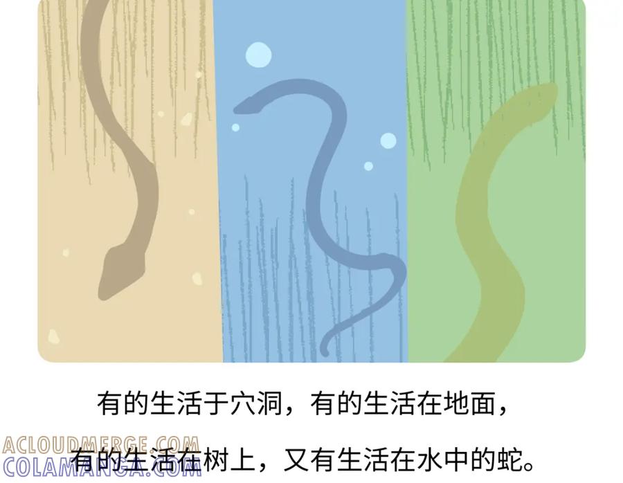 《胖达x胖达》第249话 第21页