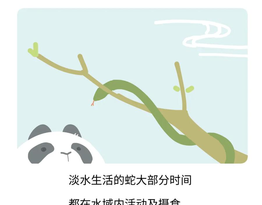 《胖达x胖达》第249话 第28页