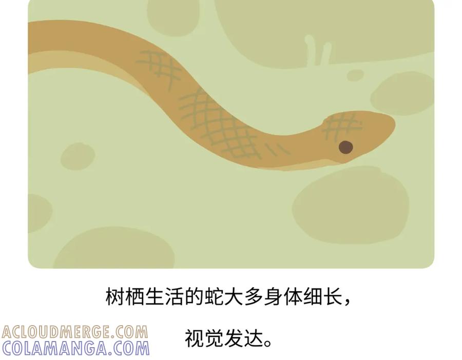 《胖达x胖达》第249话 第27页