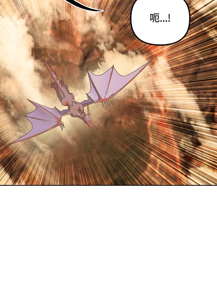 从满级开始升级 - 第11话 - 第63张图