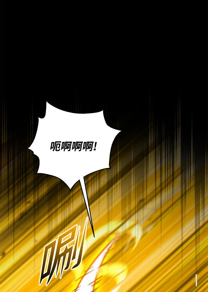 从满级开始升级 - 第33话 - 第44张图