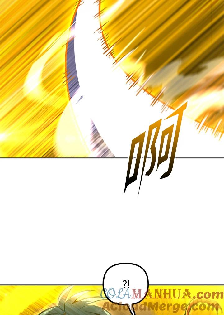 从满级开始升级 - 第33话 - 第45张图