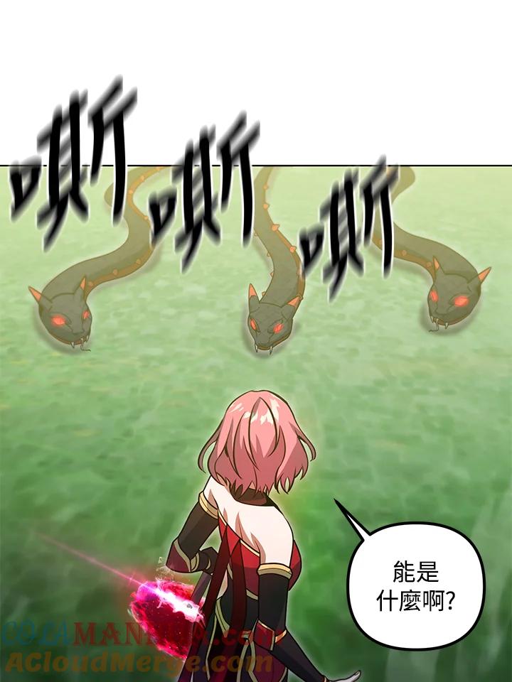 从满级开始升级 - 第47话 - 第101张图