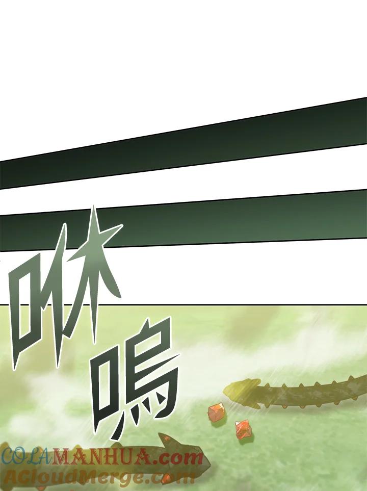 从满级开始升级 - 第47话 - 第117张图