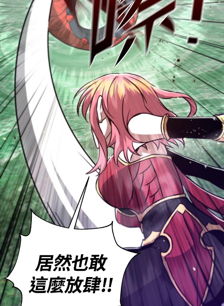 从满级开始升级 - 第48话 - 第11张图