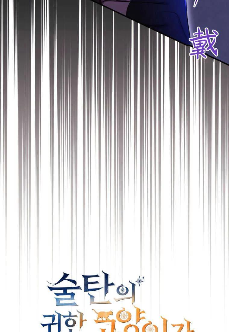 成为苏尔坦珍爱的猫咪 第32话 第35页