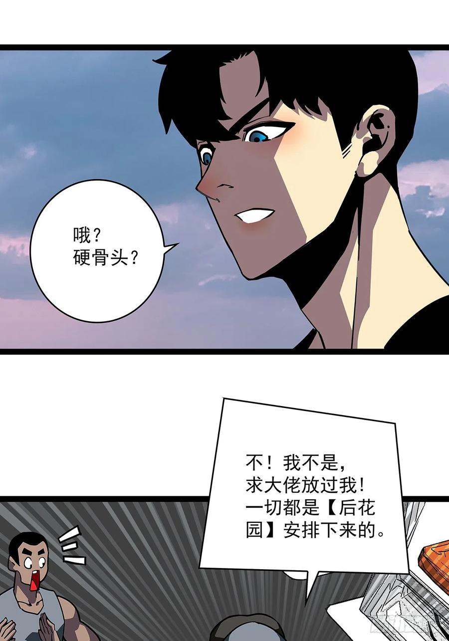 《从认真玩游戏开始崛起》大哥你问啥我就说啥 第42页