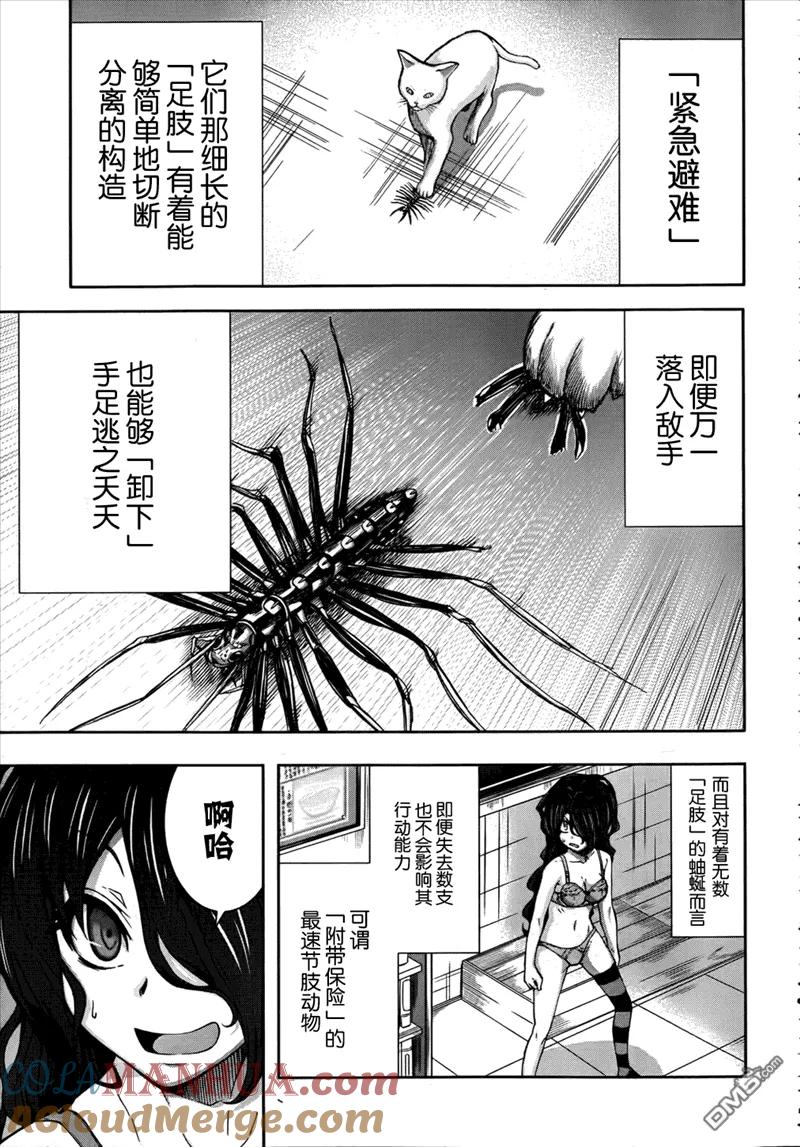《Arachnid》第40话 让我来放倒你吧 第17页