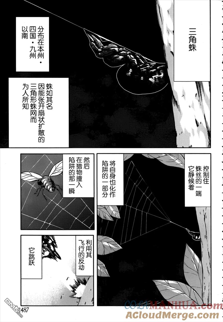 《Arachnid》第49话 最佳的猎物 第13页