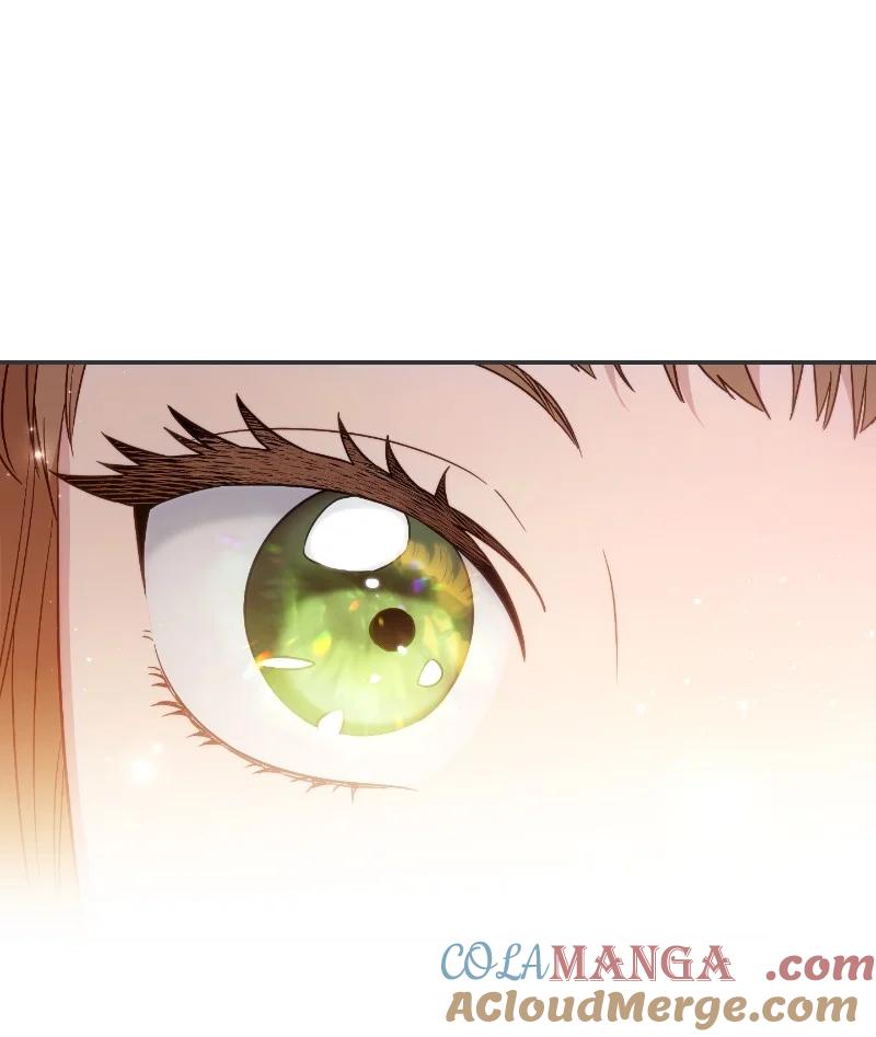错把结婚当交易，却意外的甜蜜？ 102 他的秘密 第46页