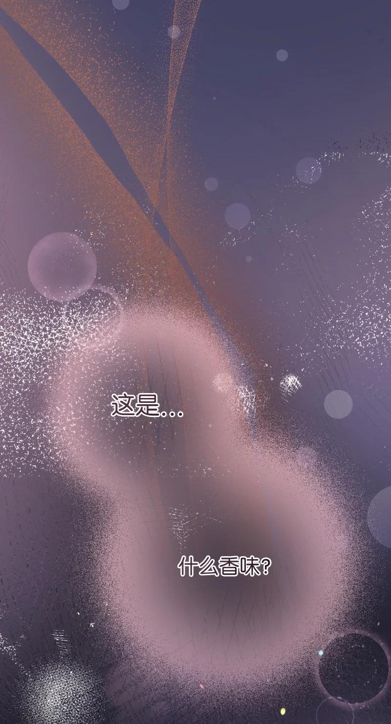 错把结婚当交易，却意外的甜蜜？ 10 让她如愿以偿 第3页
