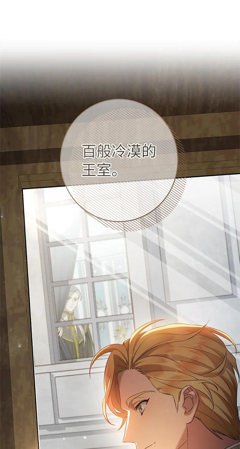 错把结婚当交易，却意外的甜蜜？ 26 二王子的身世 第111页