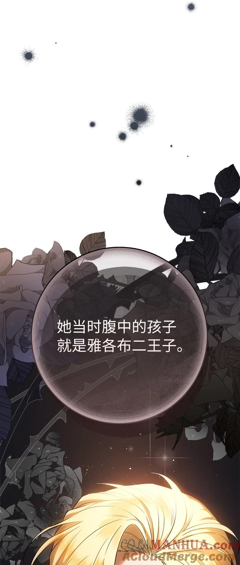 错把结婚当交易，却意外的甜蜜？ 26 二王子的身世 第88页