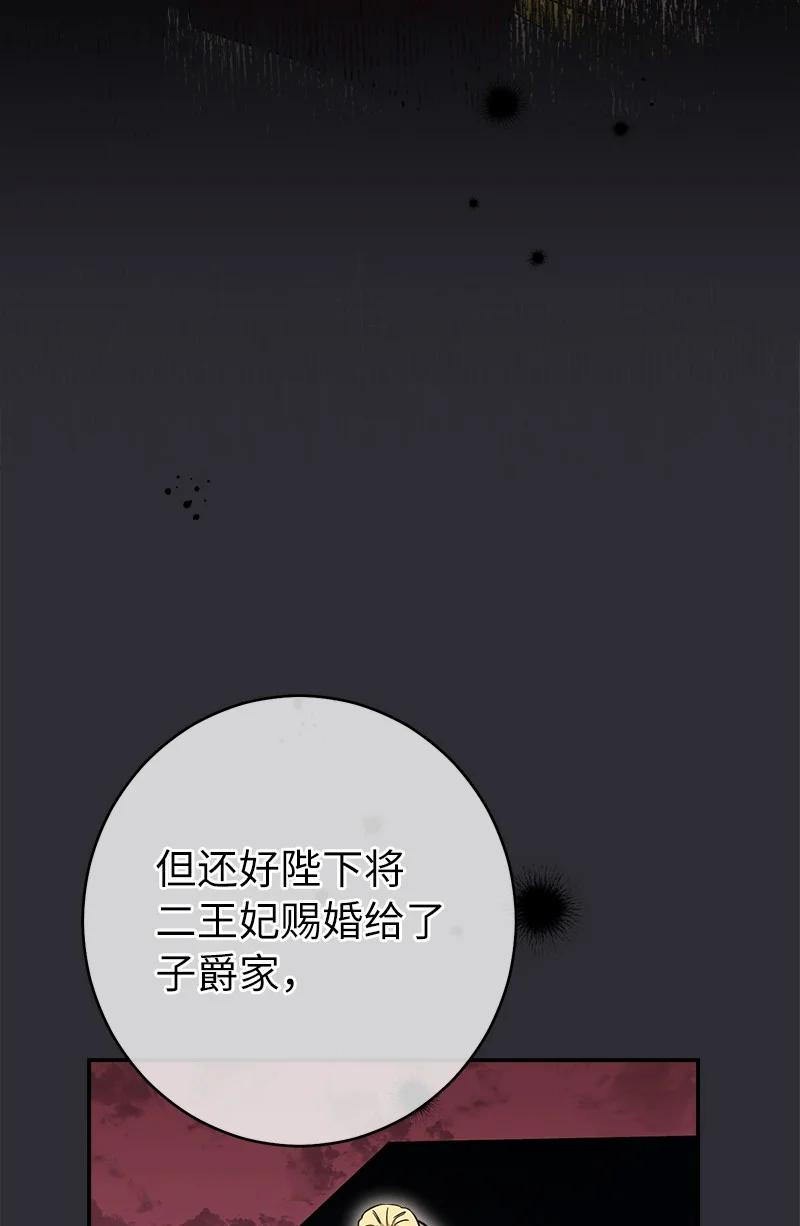 错把结婚当交易，却意外的甜蜜？ 26 二王子的身世 第94页