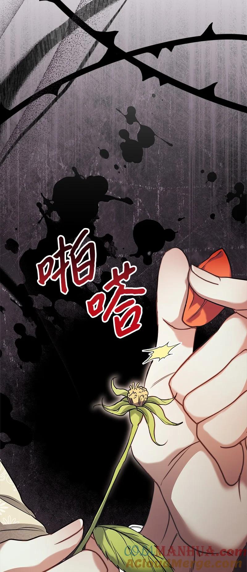 错把结婚当交易，却意外的甜蜜？ 26 二王子的身世 第48页