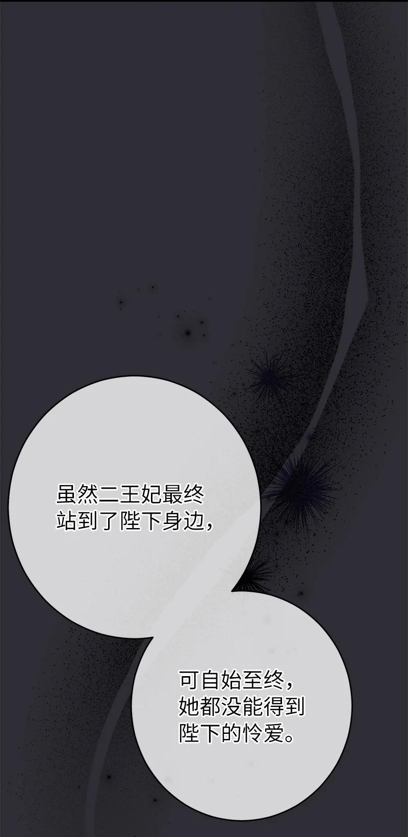 错把结婚当交易，却意外的甜蜜？ 26 二王子的身世 第102页