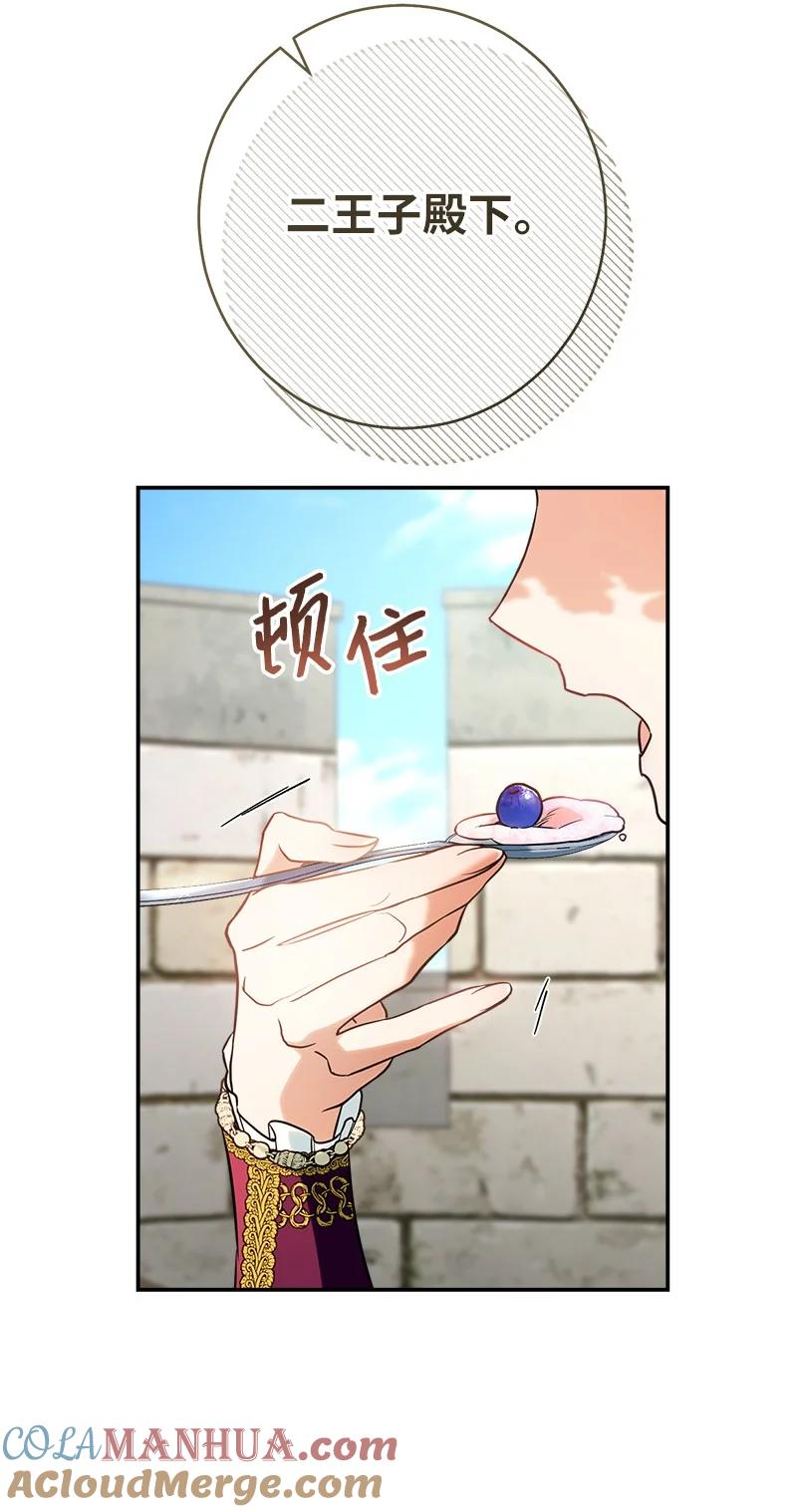 错把结婚当交易，却意外的甜蜜？ 36 再见费尔南 第101页