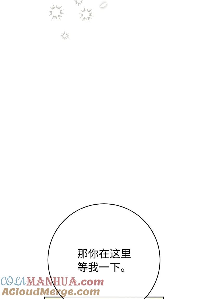 错把结婚当交易，却意外的甜蜜？ 53 狂蜂浪蝶 第5页