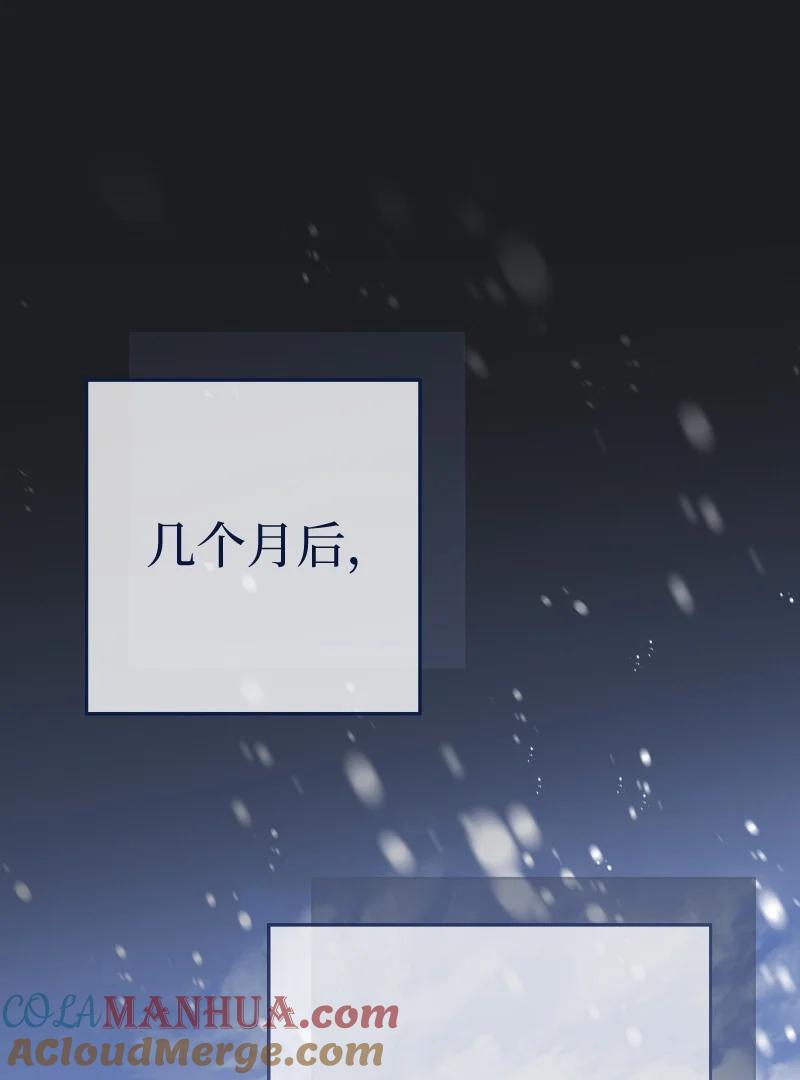 错把结婚当交易，却意外的甜蜜？ 71 达沃维尔的自述 第76页