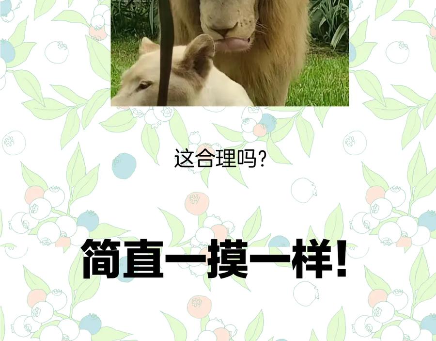 《错撩》休刊问答3 第12页