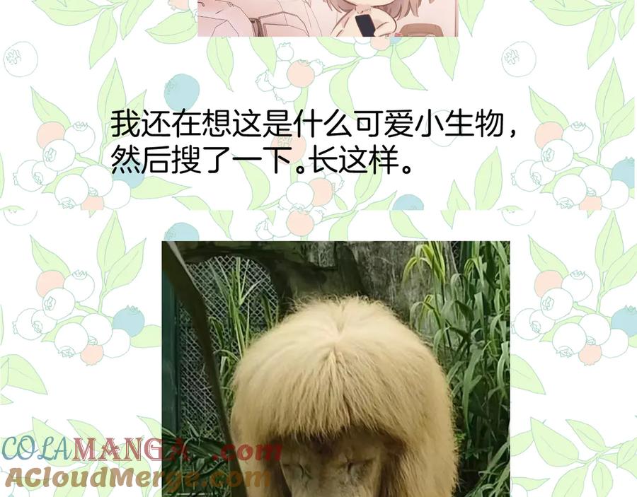 《错撩》休刊问答3 第11页