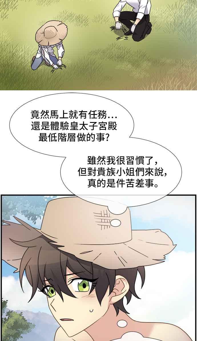 《皇太子妃101》第9话 第42页