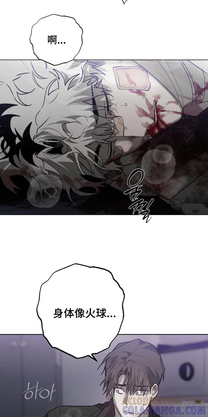 《前世梦魇》第52章：【第二季】会没事的 第19页