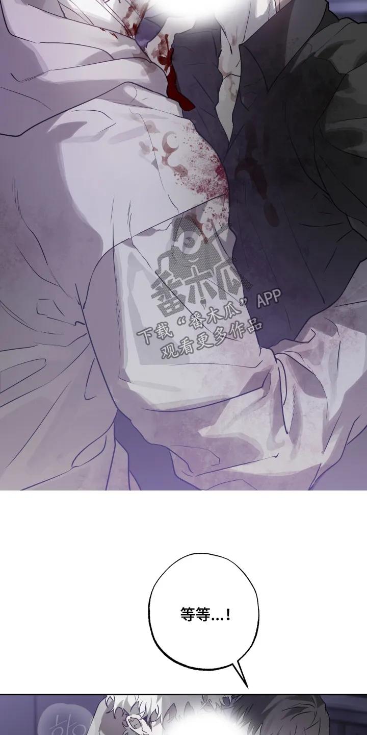 《前世梦魇》第53章：【第二季】你相信我 第2页