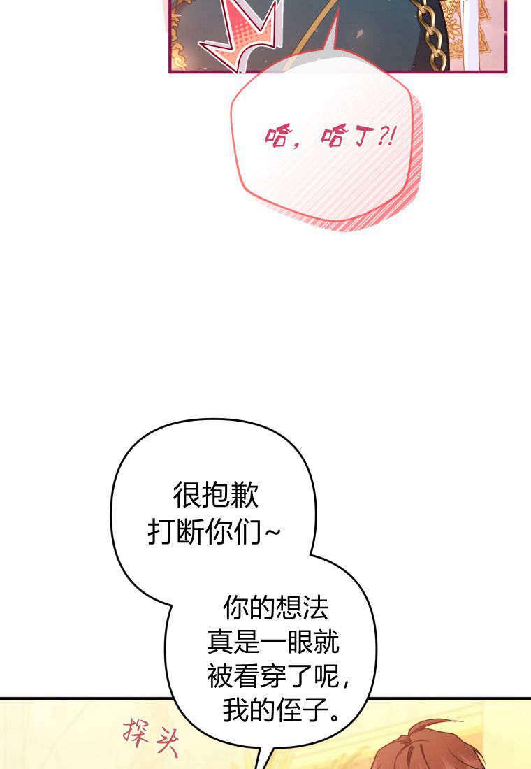 成为苏尔坦珍爱的猫咪 第53话 第42页
