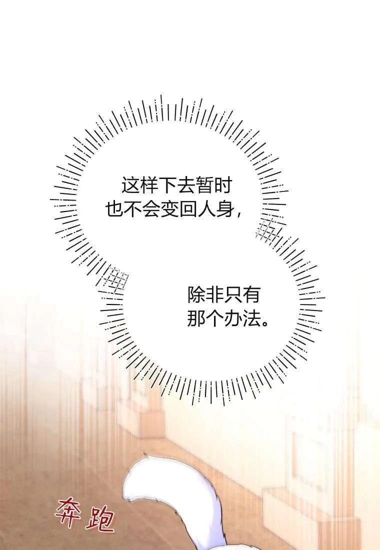 成为苏尔坦珍爱的猫咪 第55话 第83页