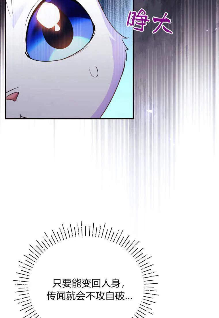 成为苏尔坦珍爱的猫咪 第55话 第77页
