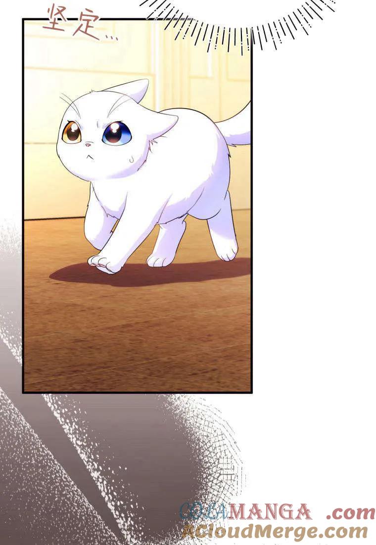 成为苏尔坦珍爱的猫咪 第55话 第85页