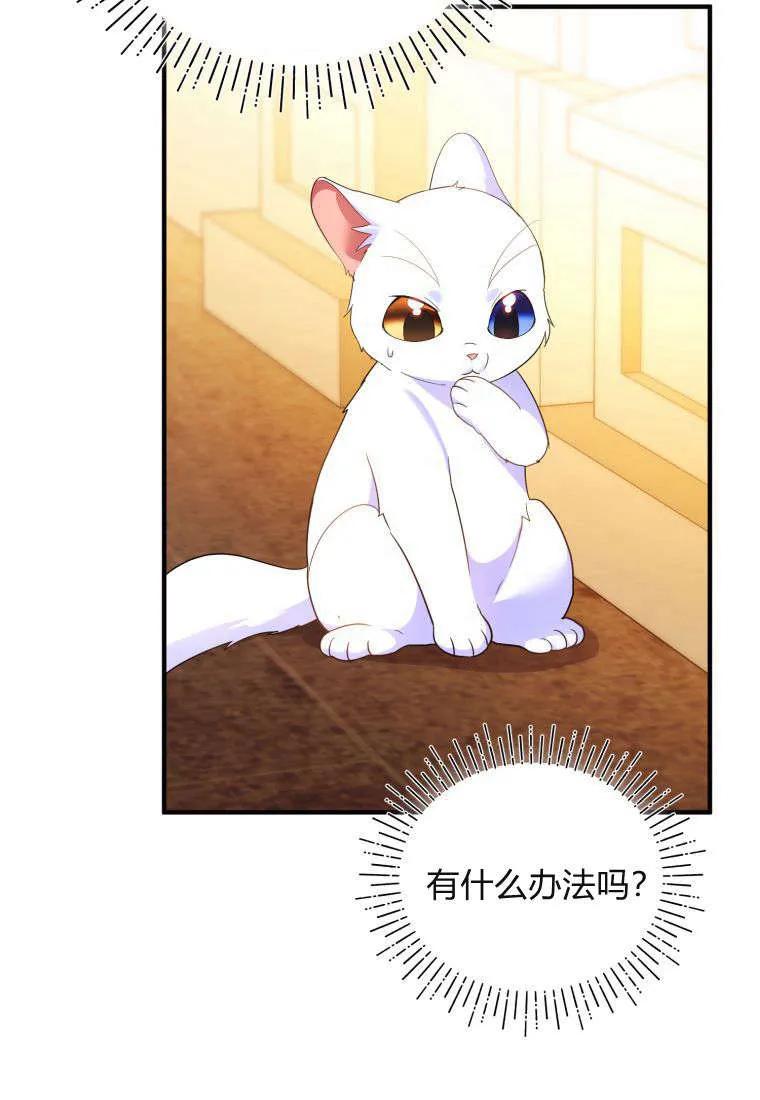 成为苏尔坦珍爱的猫咪 第55话 第78页