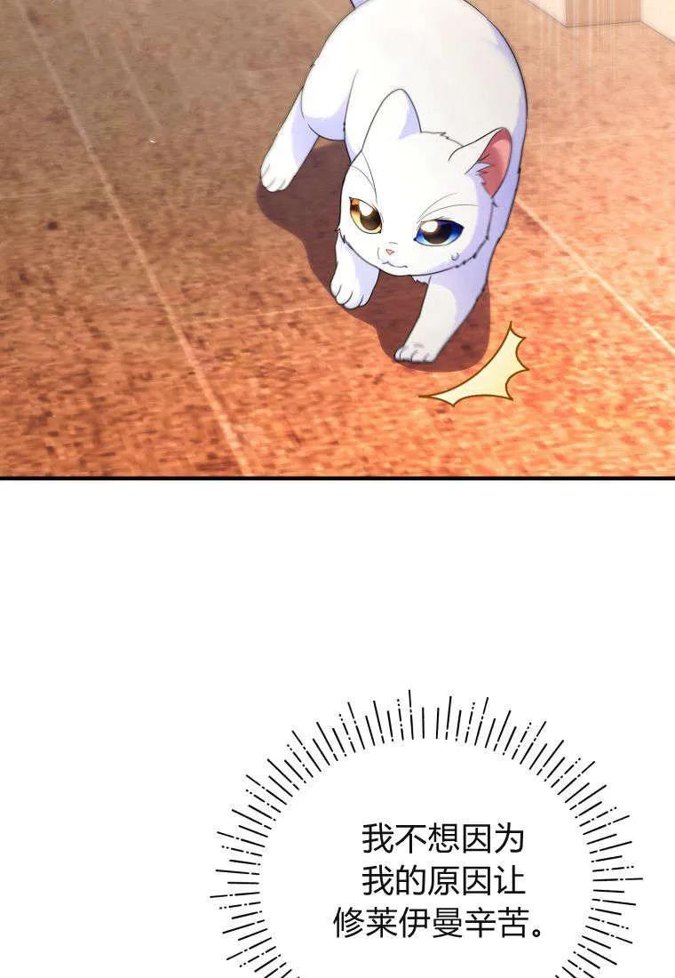 成为苏尔坦珍爱的猫咪 第55话 第84页